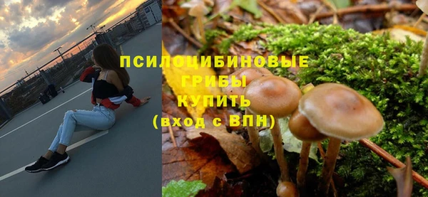 ALPHA-PVP Вяземский