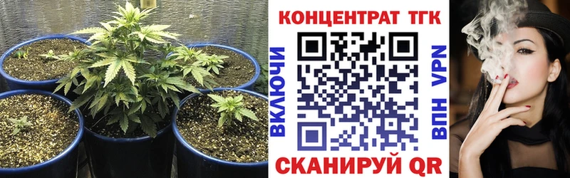 Купить где  Кимры  ТГК THC oil 