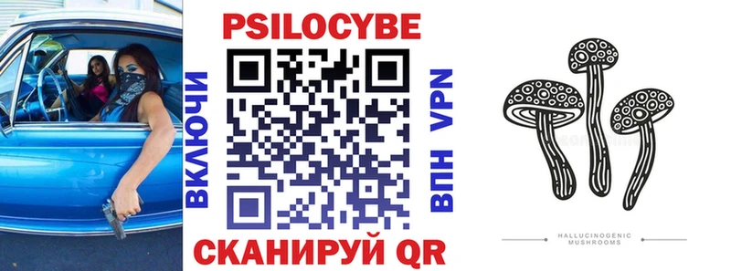 Псилоцибиновые грибы Cubensis  Купить  Кимры 
